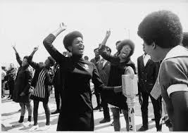 Enedina Alves Marques, primeira mulher negra a se formar em engenharia no país